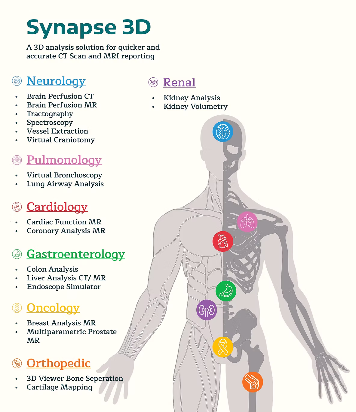 Synapse 3D Advanced CT MRI Analysis at AV Scan
